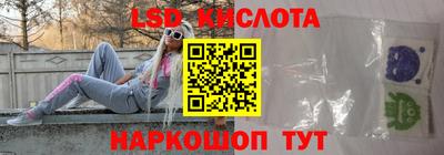 крисы Кулебаки