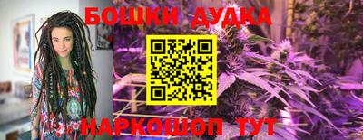 крисы Кулебаки