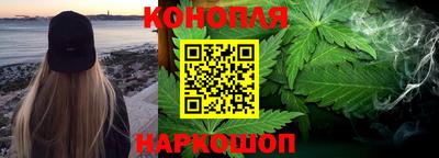 крисы Кулебаки