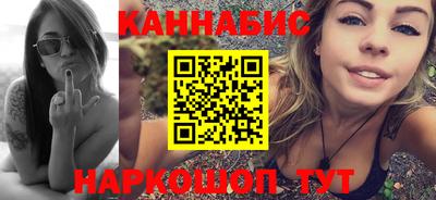 крисы Кулебаки