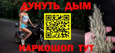 крисы Кулебаки