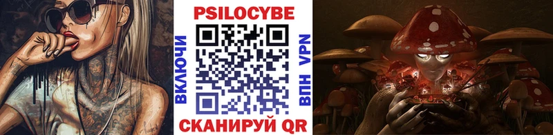 Галлюциногенные грибы мицелий  купить закладку  ссылка на мегу маркетплейс  Кингисепп 