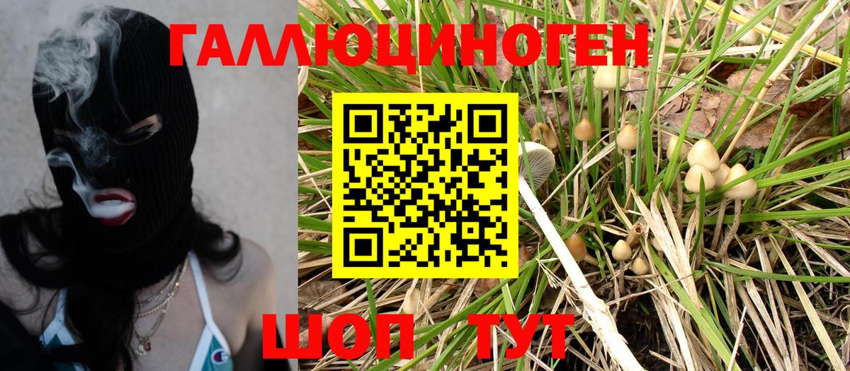 Галлюциногенные грибы MAGIC MUSHROOMS Кингисепп